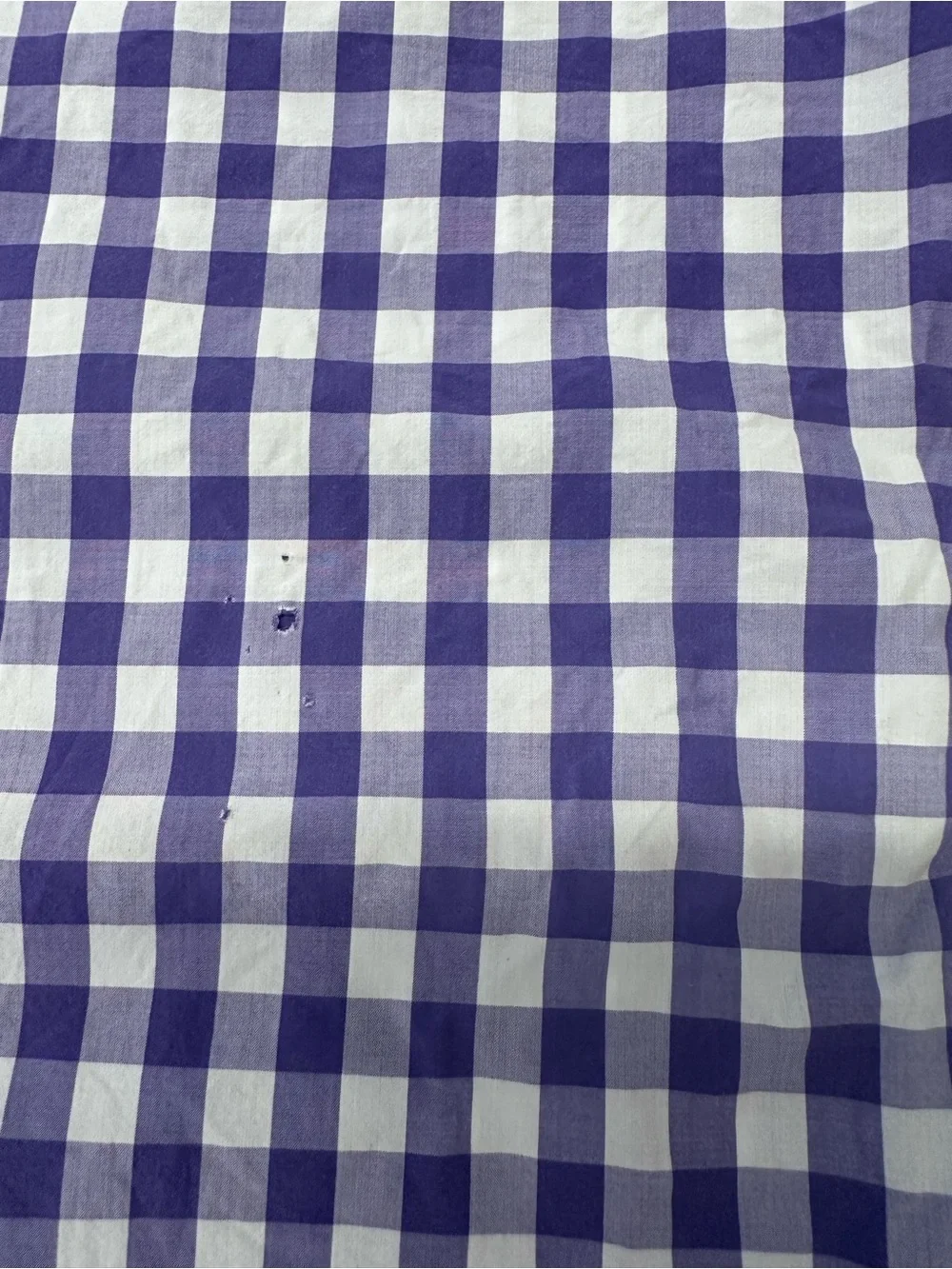 J. Crew Light Weight Purple and White Gingham Button-Down Shirt